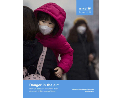 Danger in the air: How air pollution can affect brain development in young children