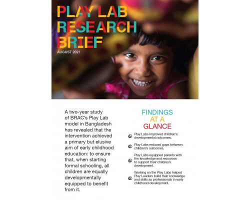 Play Lab Research Brief